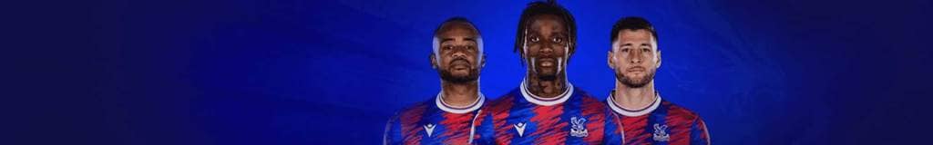 sudoku swordfish explanation
